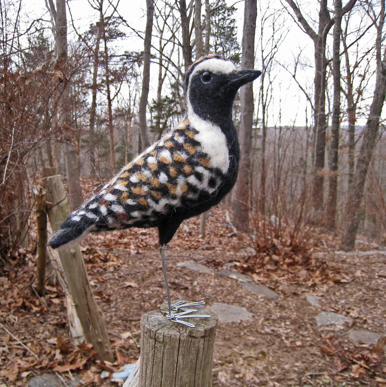 Mr. Pacific Golden Plover, needle felted bird fiber sculpture