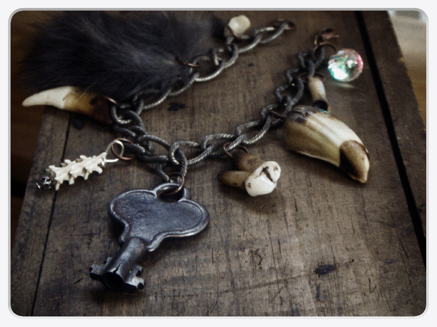 The Taxidermist's Shop: Northern Lands edition -Alaska. Coyote claw, bone tooth, snake vertebra, bear tooth, wild boar tusk, rabbit fur, Key