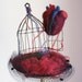 Follow your heart 20%off