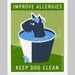 Scottish Terrier - Improve Allergies - Original Illustration - 8x10 Poster Print