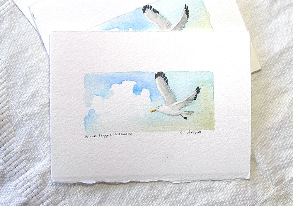 Bird Art, Black-Legged Kittiwake Artwork For Sale