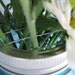 Mason Jar Flower Frog Wedding Vase- 1 frog (no jars)