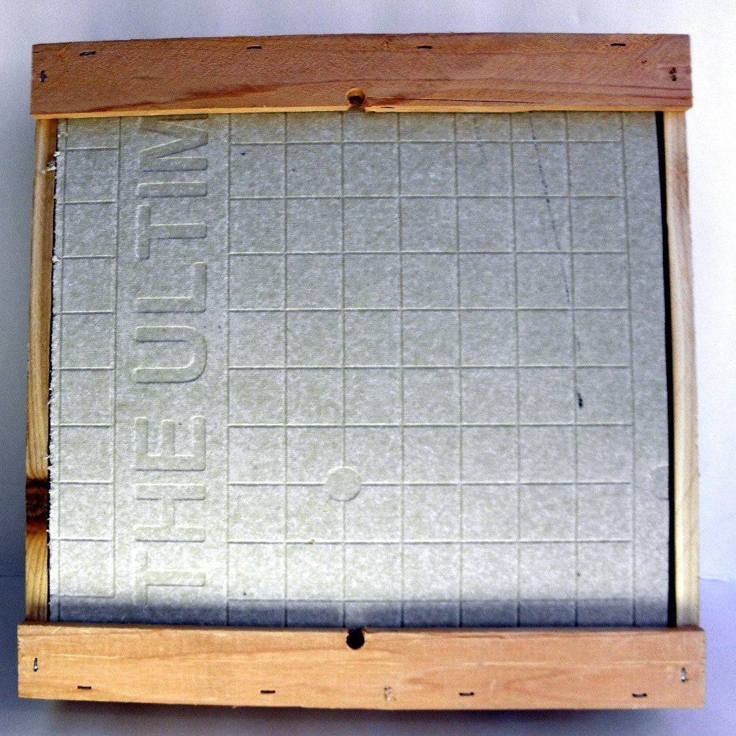 Succulent Vertical Living Wall Art Kit, 12 inch, Buy this or we can make custom sizes.