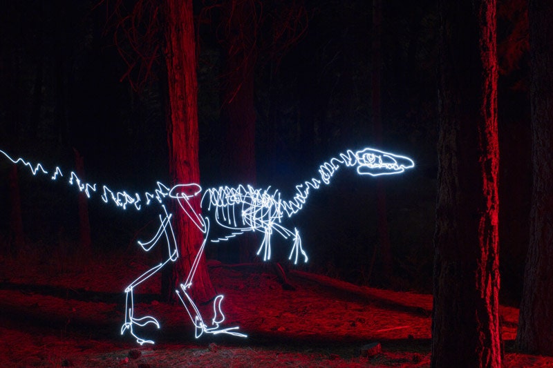Velociraptor
