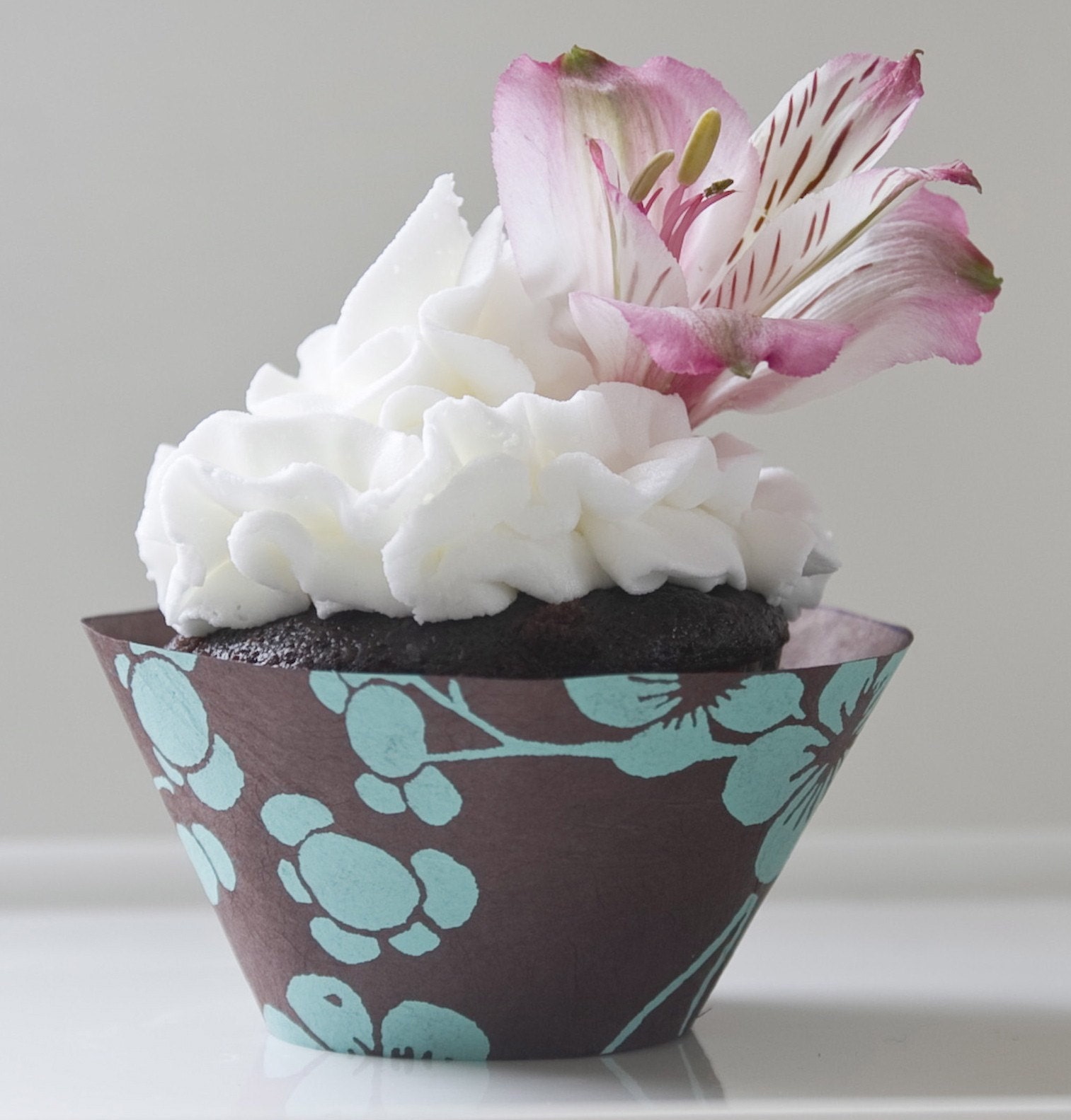 Chocolate Brown Cupcake Wrappers with Turquoise Flowers