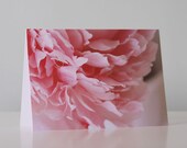 Peony Pink - Note Card