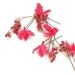 Floral Bobby Pins pink Fuchsia flower set 5 pcs