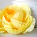 June Star Hair Pin, Wedding, Accessory, Flower, Rose, Yellow, Accessories by Eternal Eden on Etsy