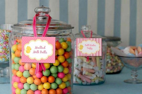 Printable Candy Buffet Labels - Baby Shower Sweet Girl Party Line - Stick to Your Story