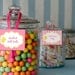 Printable Candy Buffet Labels - Baby Shower Sweet Girl Party Line - Stick to Your Story