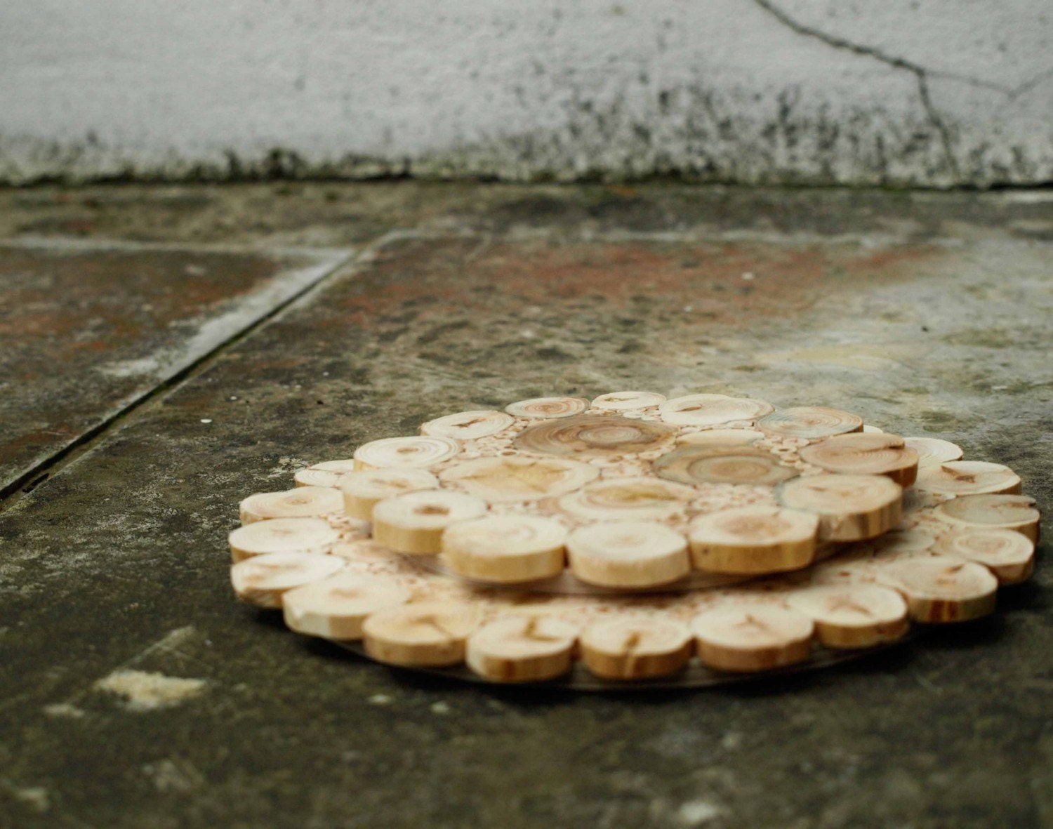 wooden coaster, eco wooden coaster , heat resistant caoster - size small --- rustic juniper wood