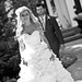 Wedding Dress - Inspired by Sunday Rose - Monique Lhuillier
