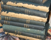 vintage books nine volumes of the WORKS of CHARLES DICKENS 1900 wow what a deal