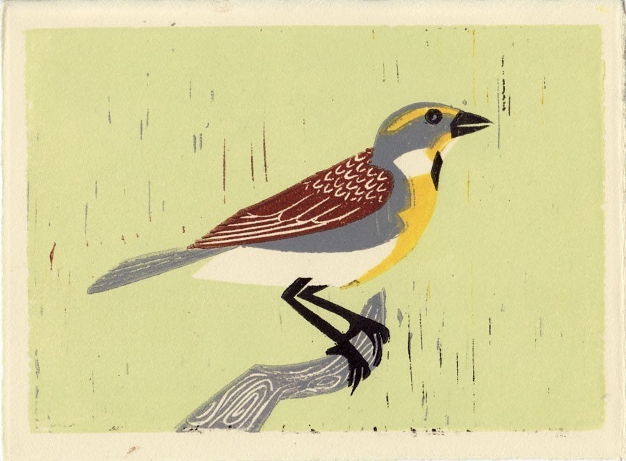 Bird Linocut: DICKCISSEL handpulled linocut block print