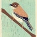 House WREN linocut illustration hand-pulled art print