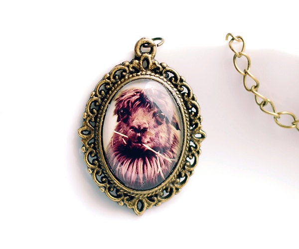 Hello Llama Photo Pendant Wearable Art - victorian vintage jewelry photography antique brass venice italy feminine pretty romantic europe