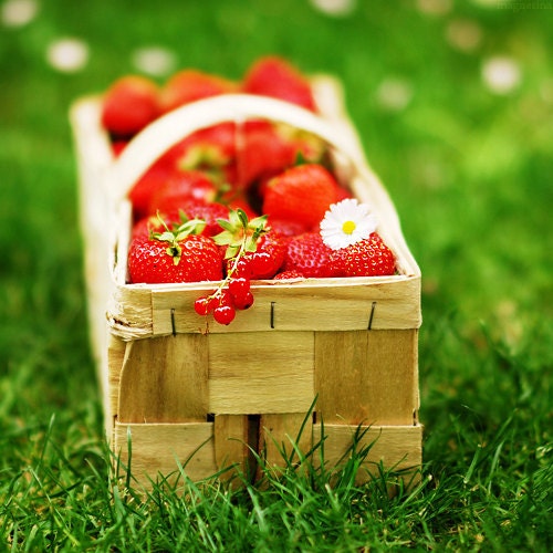 Strawberry Pleasure 8x8 (20x20cm) Fine Art Nature Photography - home decor restaurant decor kitchen art fresh garden fruits
