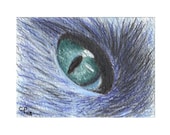 Cat's Eye Close Up - Limited Edition Giclee Fine Art Print