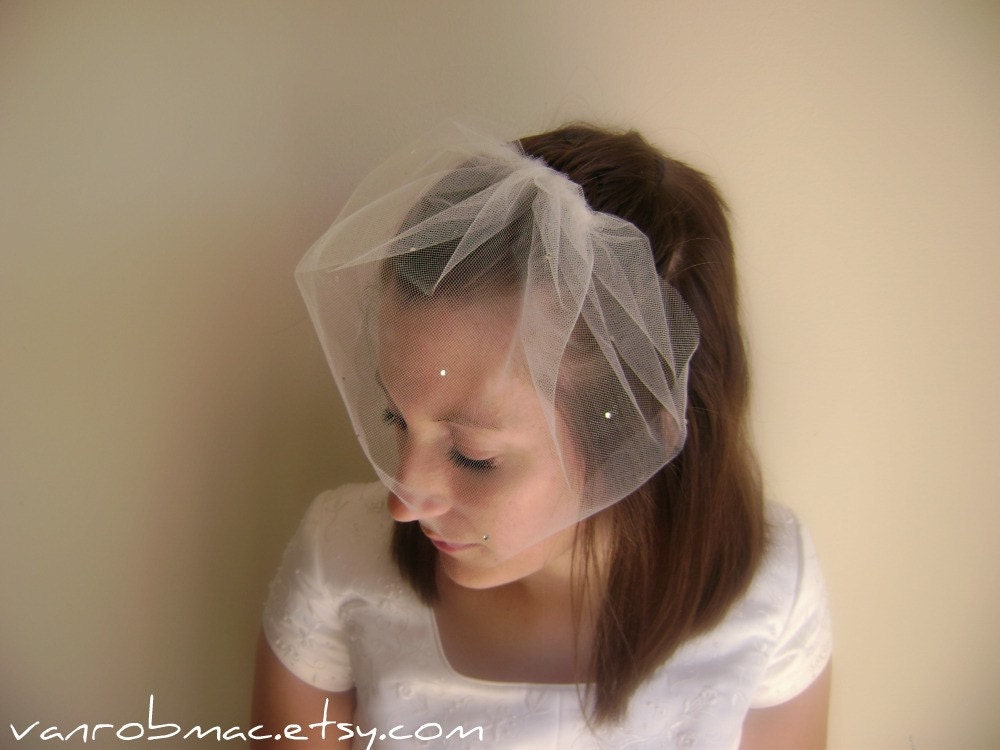 Crystal Tulle Birdcage...ready to ship
