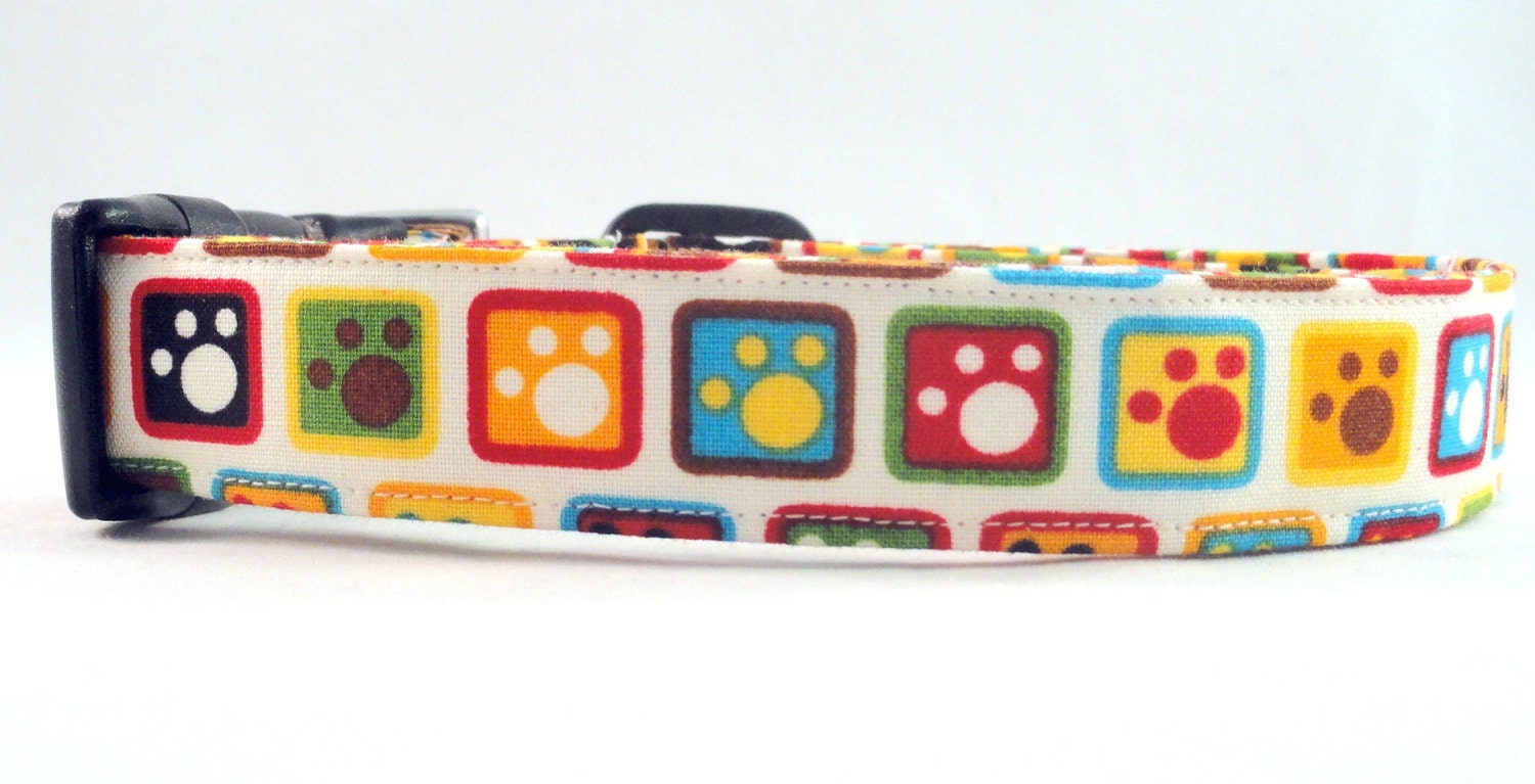 Awesome Square Puppy Paws Dog Collar Blue Red Green and Yellow