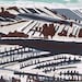 Winterscape linocut print.