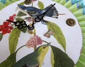 Cottage Chic Audubon Bird Wall Clock Apple Green Turquoise Blue Spring Home Decor