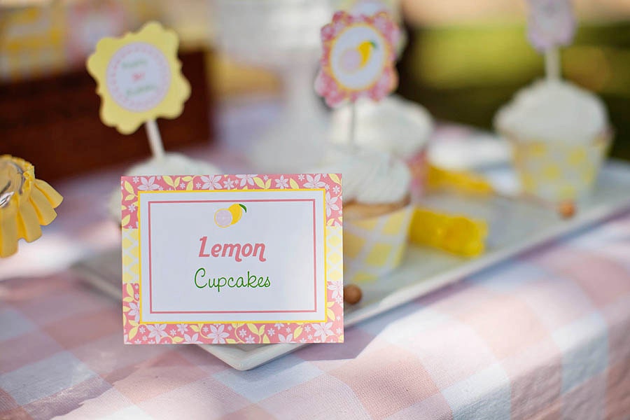 Pink Lemonade Stand Birthday Party Decorations - PRINTABLE - Party Collection Package - By A Blissful Nest