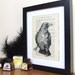 Gocco Book Print Raven Wonders of Bird Life