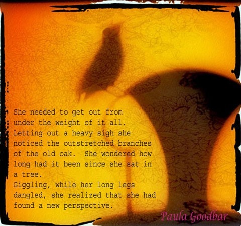 Crow in Slihouette on Chair - "Go Climb a Tree" - 8"x8" Archival Photographic Print