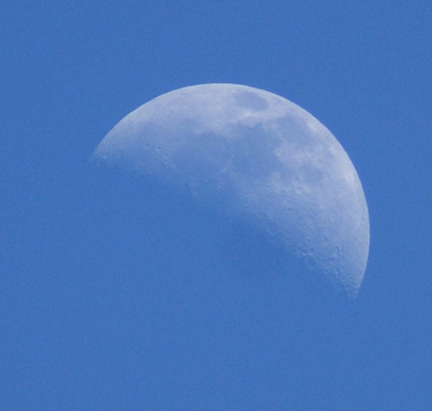 Blue Moon - 8x10 Photograph