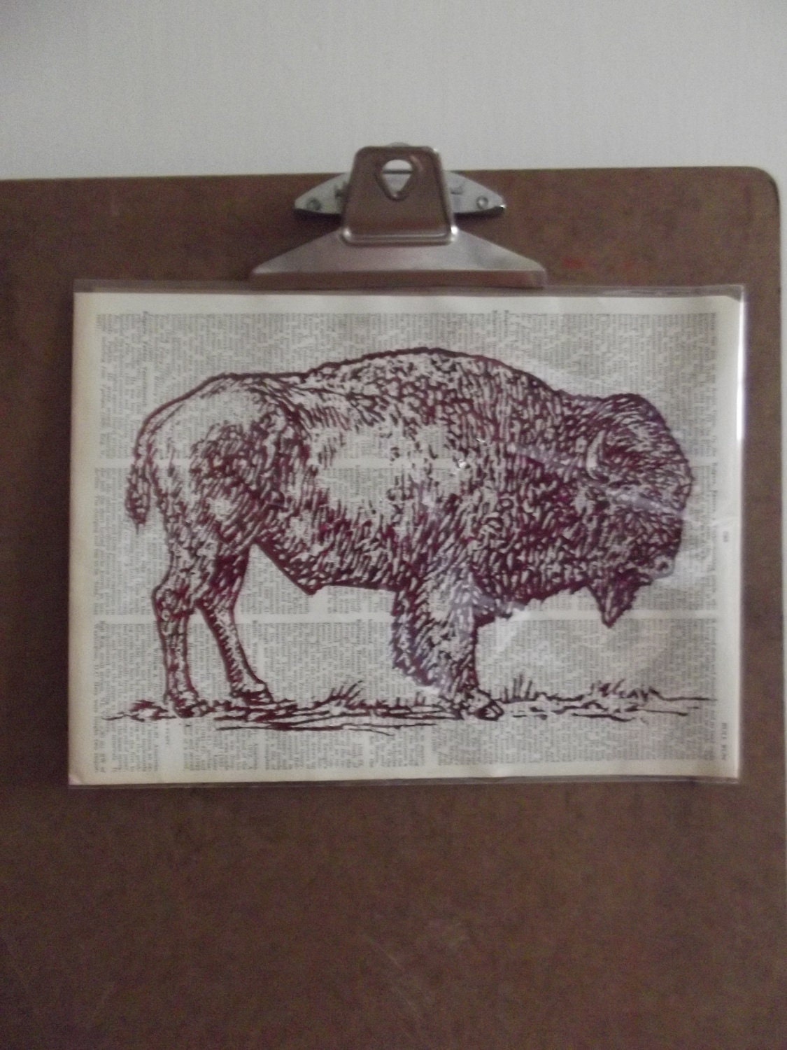 The Bison Run