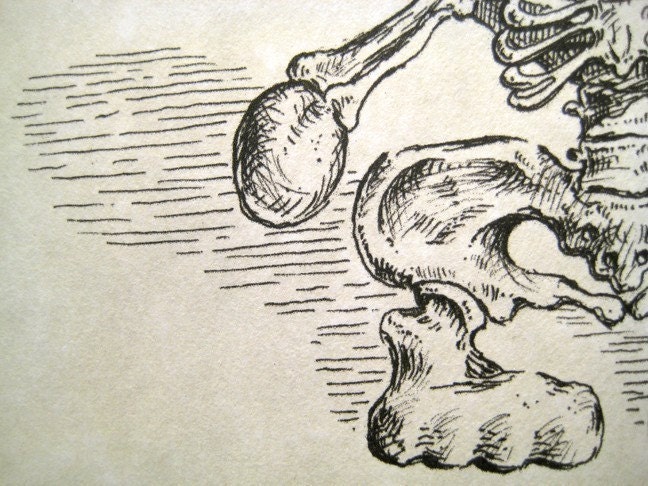 Hello Kitty Skeleton Print 8x10