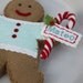 Personalized Felt Gingerbread Cookie Ornament Aqua And Red