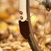 Road Bicycle Mud Flap