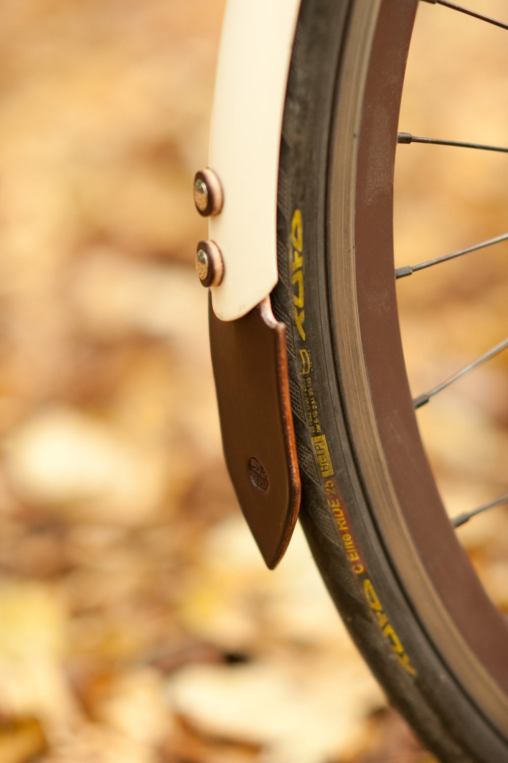 Road Bicycle Mud Flap
