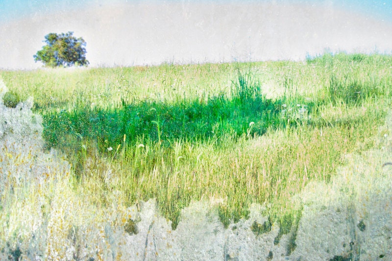 N A T U R A 2 - Nature Landscape Giclee Print by Mina Georgescu 23x17