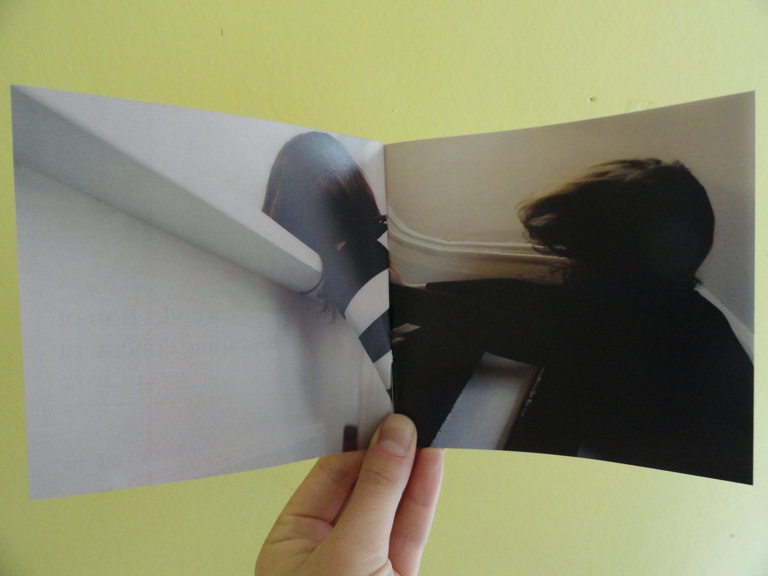 On Accident, On Purpose - Limited Edition Photo Book, First in a Series of 3: patternclash