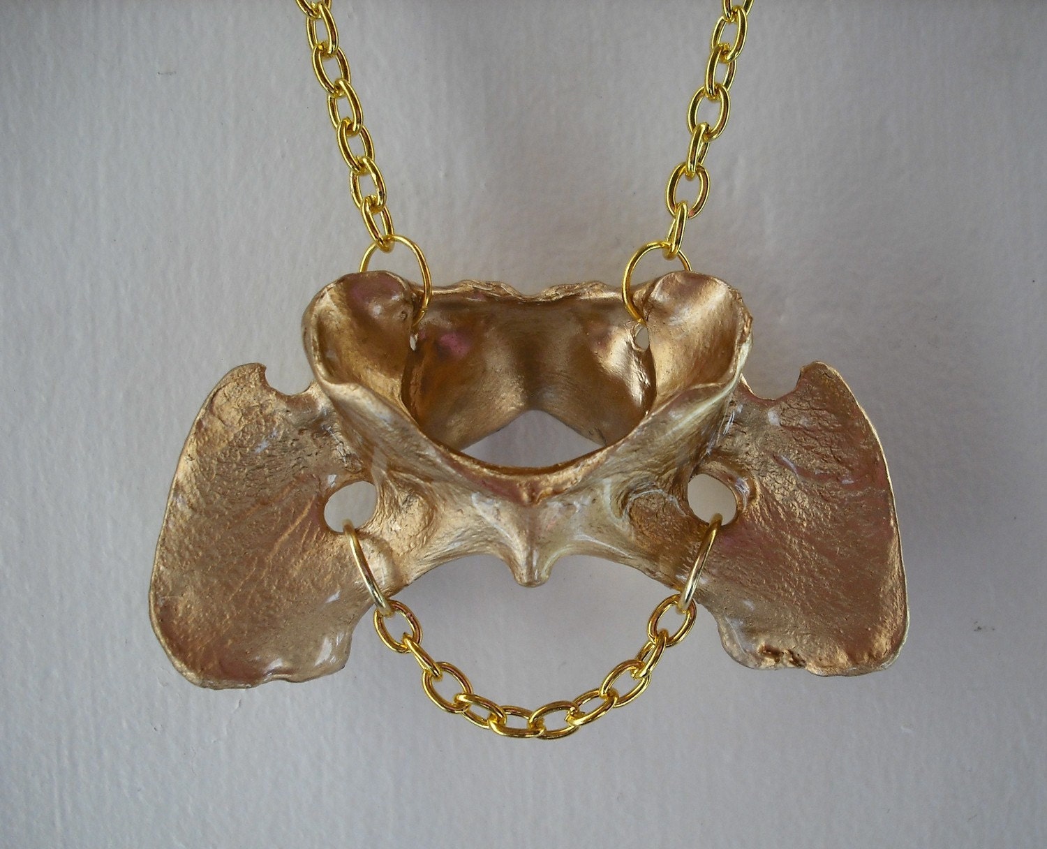 TAXIDERMY COUTURE Stay Gold collection Coyote Vertebrae