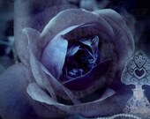 ART CARD - Sub Rosa III - 148mm x 105mm (5.83 x 4.13 in) High Quality Gloss