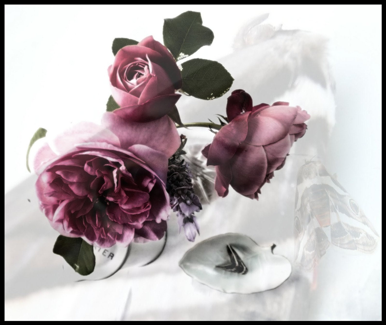 ART CARD - A Winters Still Life I  - 148mm x 105mm (5.83 x 4.13 in) High Quality Gloss