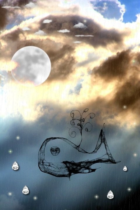 Having a Whale of a Time -  Limited Edition Archival Giclee Photgraphic Fine Art Print