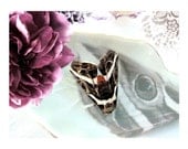 A Winters Still Life III - Limited Edition Archival Giclee Photgraphic Fine Art Print