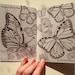 Endangered Species Colouring Book