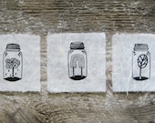 Canning Set of 3
