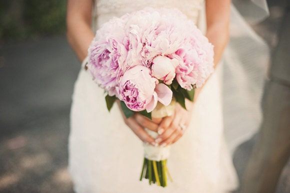 Ketubah - Peony (Printed on Italian Bookcloth)
