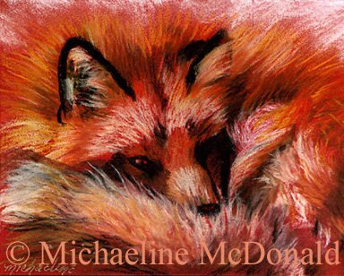 Red Fox painting wildlife art print by Michaeline 8x10 inches