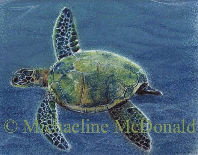 Sea Turtle painting art print by Michaeline 8x10 inches