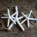 starfish garland