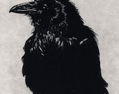 Artist Proof,- the last one available - Award Winning Print -Raven  Series- RAVEN DECIDES Not to Create MAN- Etching 5 x 7inch 2010