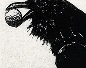 THE THIEF at the scene of the crime. - Raven (bird, crow, Golf ) Series-Aquatint Etching 5 x 7inch 2011
